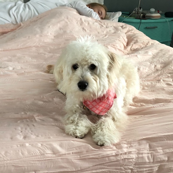 Meet your Posher, Michelle - Picture 1 of 1